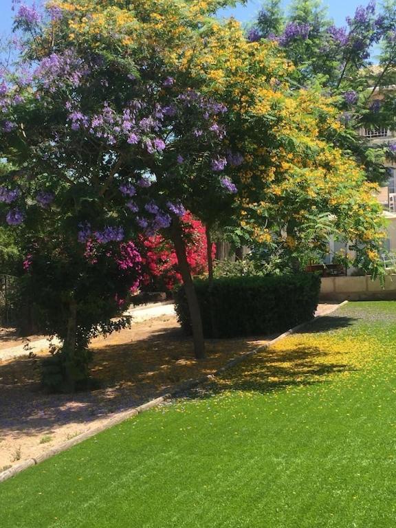 Port D'andratx Beautiful House, Swimming Pool & Jacuzzi 10-22 People * Andratx